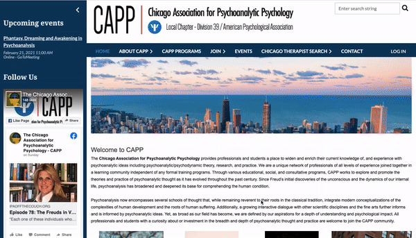 Chicago Association for Psychoanalytic Psychology