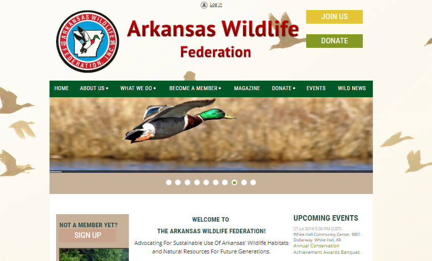 Arkansas wildlife website example